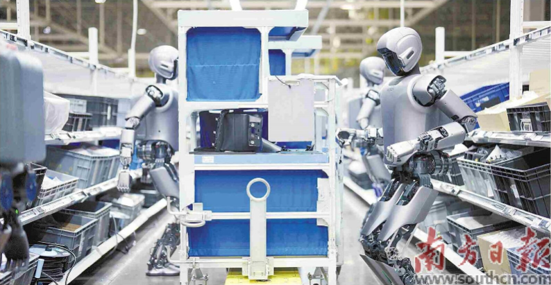 優(yōu)必選工業(yè)人形機(jī)器人在工廠開(kāi)展協(xié)同實(shí)訓(xùn)。 南方日?qǐng)?bào)記者 朱洪波 通訊員 羅艷 攝